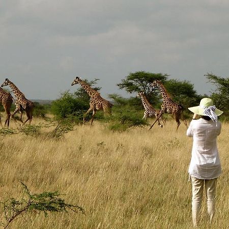 Maasai Simba Camp Hotel Amboseli Eksteriør billede