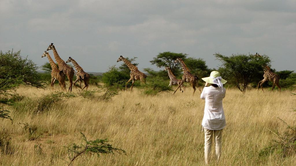 Maasai Simba Camp Hotel Amboseli Eksteriør billede
