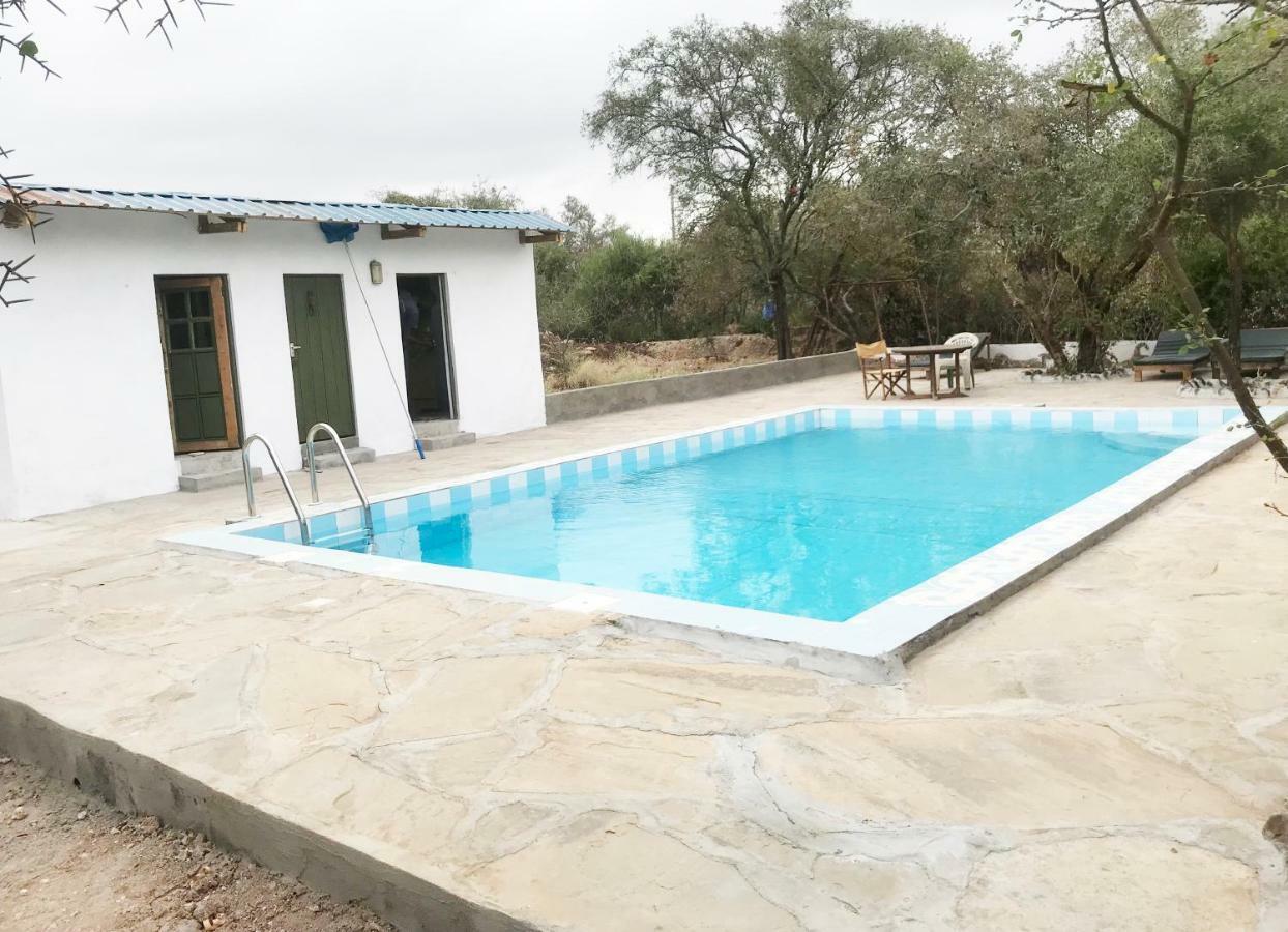 Maasai Simba Camp Hotel Amboseli Eksteriør billede